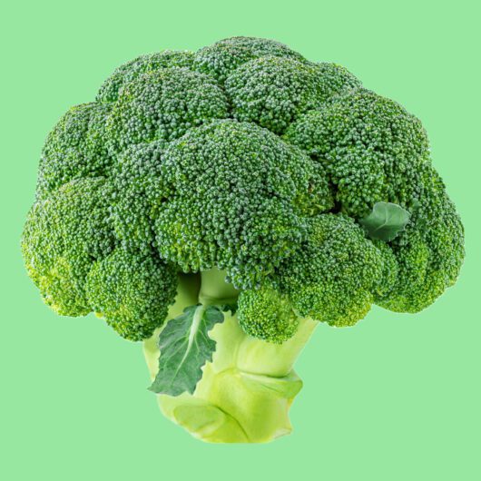 Broccoli Head Healthy Food