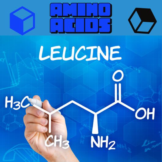 Amino acids Leucine