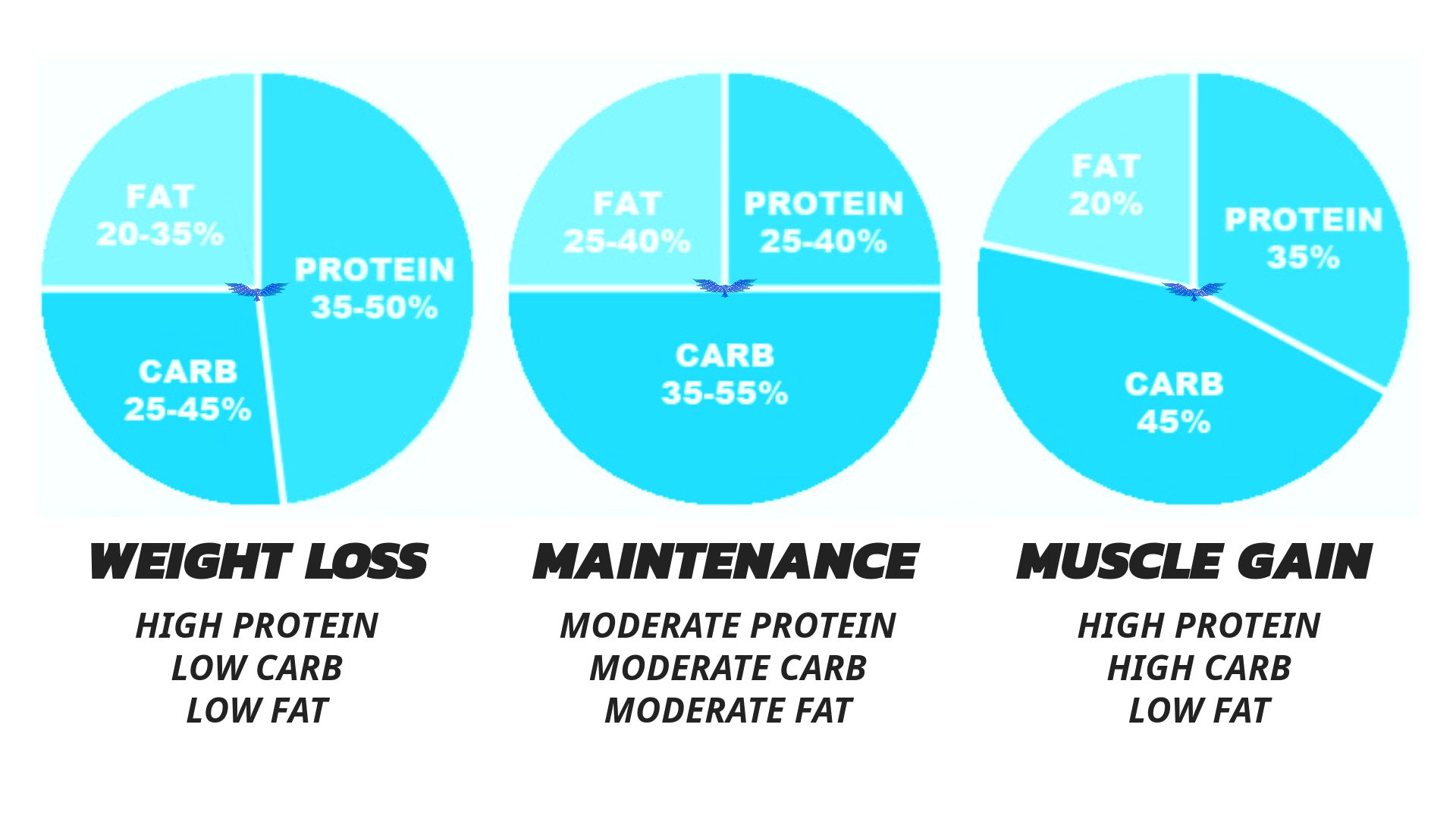 MACRO SPLIT FOR GOALS - FAT LOSS, MUSCLE, MAINTENANCE